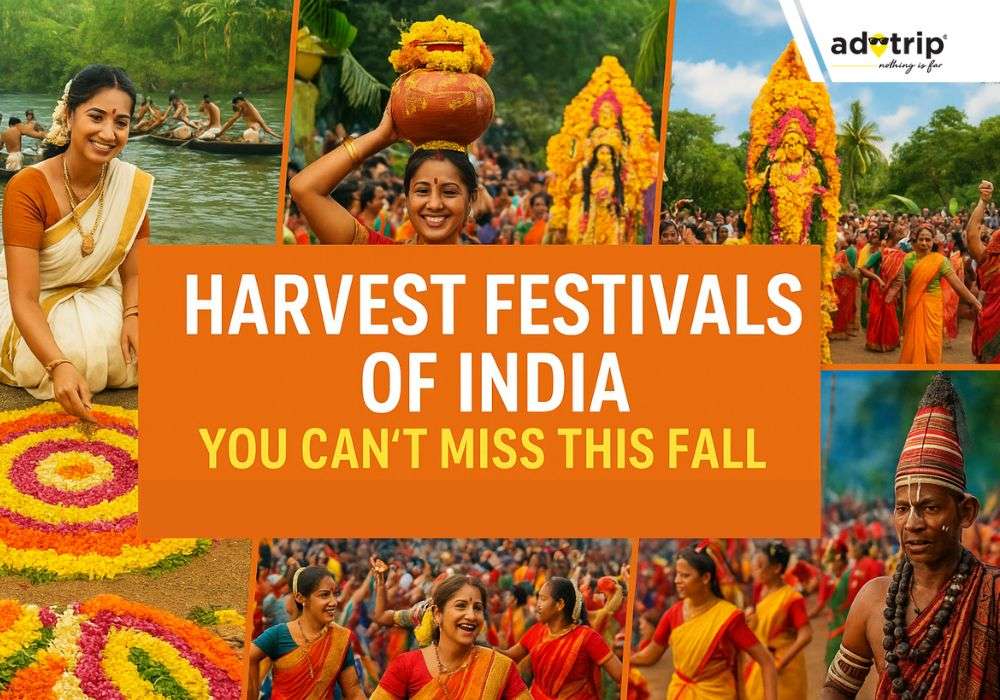 Harvest Festivals of India